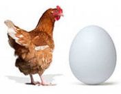 курица и яйцо