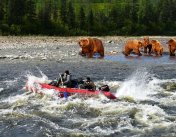 медведи и лодка на реке